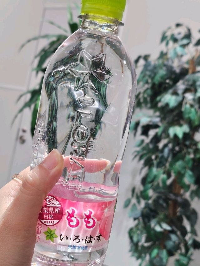 일본은 식도락