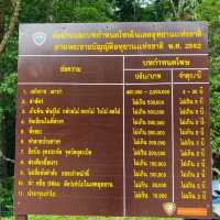 หนีร้อนไปโดดน้ำ เล่นน้ำกลางป่าใหญ่ที่น้ำตกคลองลาน