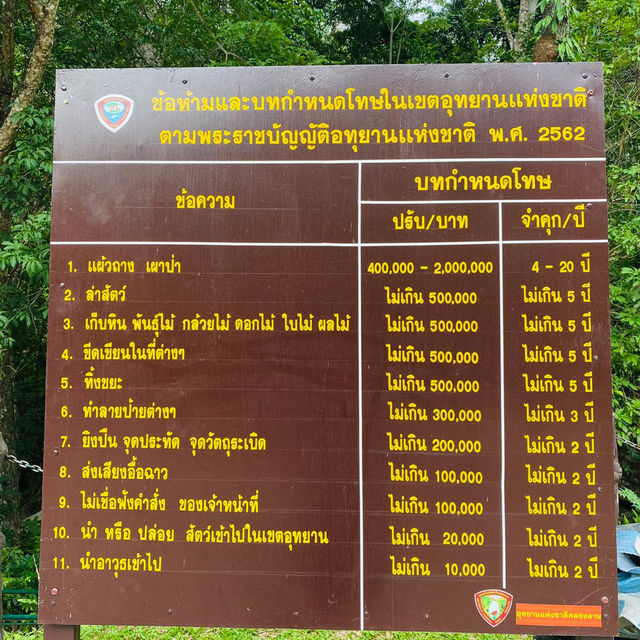 หนีร้อนไปโดดน้ำ เล่นน้ำกลางป่าใหญ่ที่น้ำตกคลองลาน