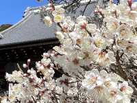 One day trip จุดท่องเที่ยวแถวนาริตะ 