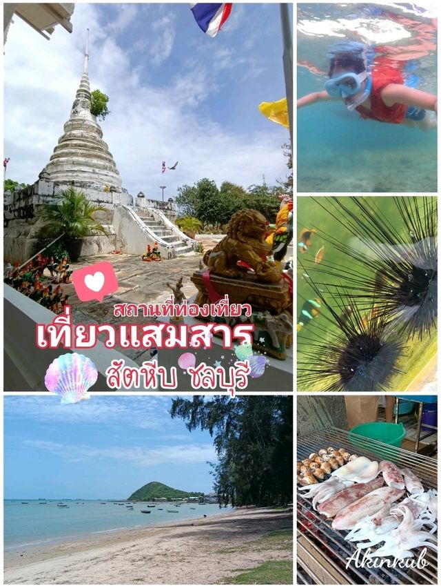 แนะนำจุดเที่ยวแสมสาร ชลบุรี