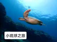 3 天2夜玩轉小琉球：潛水迷與自然愛好者的天堂 