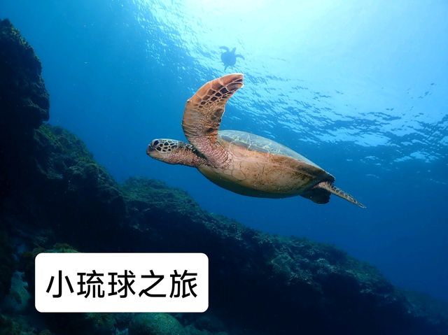 3 天2夜玩轉小琉球：潛水迷與自然愛好者的天堂 