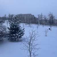 FEFU campus - the best student city by the sea in Russia