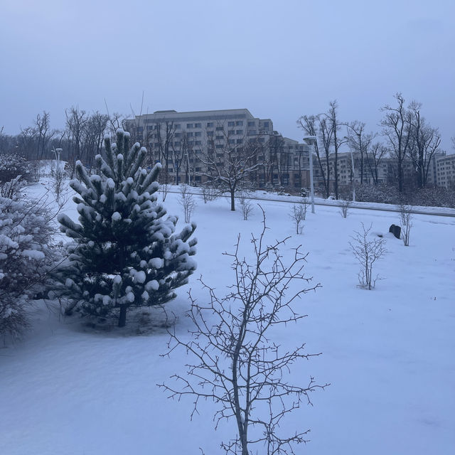 FEFU campus - the best student city by the sea in Russia