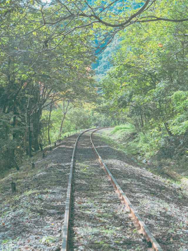 日本中部還可以這樣玩？在鐵道中的自行車體驗！
