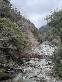 🌿 徳島の魅力的な観光スポットまとめ – 自然と歴史の息吹を感じる場所