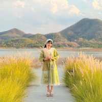 Thammachard Campground ลานกางเต็นท์ ธรรมชาติ