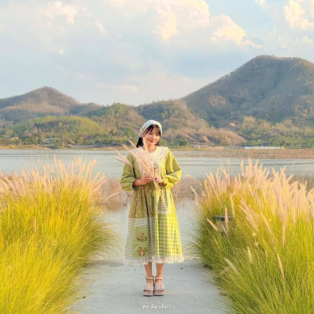 Thammachard Campground ลานกางเต็นท์ ธรรมชาติ