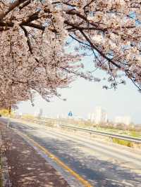 A Breathtaking View Over Gyeongpo Lake!