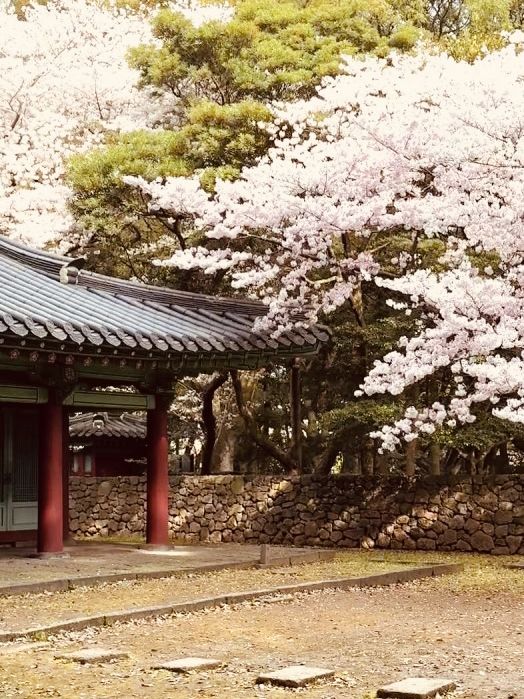 A Relaxing Stroll Through Springtime Beauty!