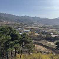구례 산수유마을 봄꽃 여행