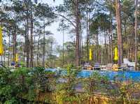 Live with Nature 