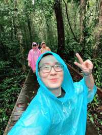 Deer Cave: Spectacular Spring Adventure
