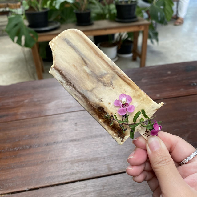 📍ไทรสุก | เขาใหญ่