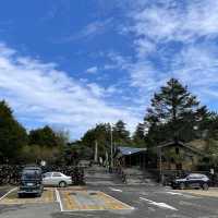 大雪山國家森林遊樂區