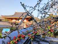 10 yen eternal splendor: Unveiling the Byodo In temple in plain sight