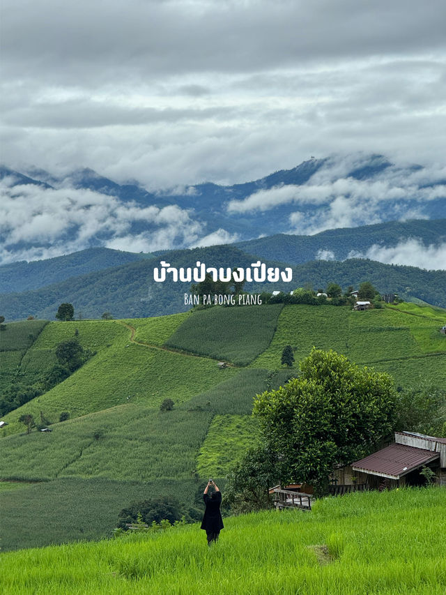 14 พิกัดเที่ยวเชียงใหม่ 🏡⛰️🌦️🌿