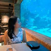 An Unforgettable Underwater Feast at Koral