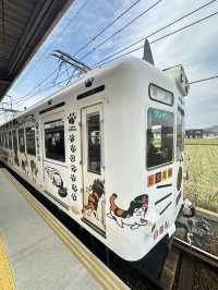 เที่ยว 1 Day ไปนั่งรถไฟหานายสถานีแมวที่วาคายะมะ