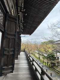 【京都×春旅】  風情ある景色、庭園、建築技術は素晴らしい