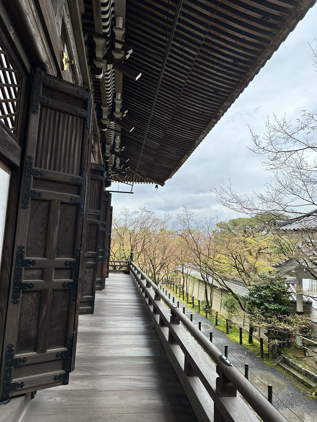 【京都×春旅】  風情ある景色、庭園、建築技術は素晴らしい