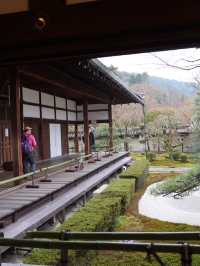 【京都×春旅】  風情ある景色、庭園、建築技術は素晴らしい
