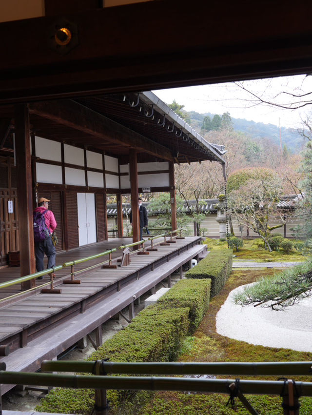 【京都×春旅】  風情ある景色、庭園、建築技術は素晴らしい