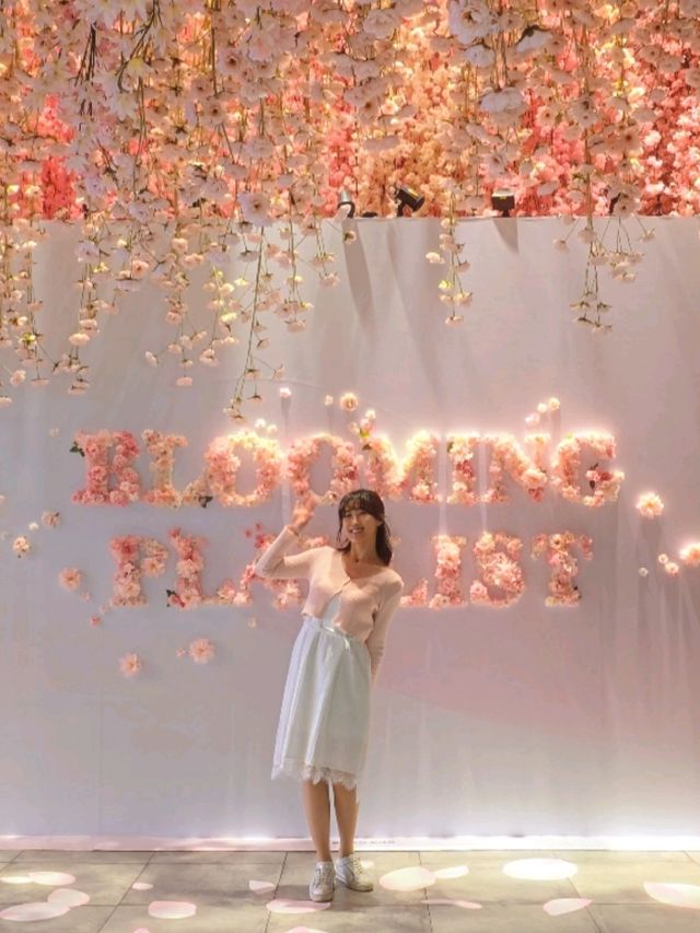 130만송이의 벚꽃이 쏟아지는 무료 전시🌸