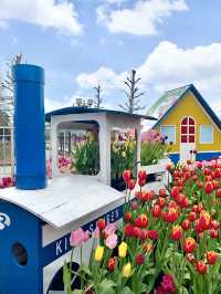 Spring at Kiso Sansen Park🌷