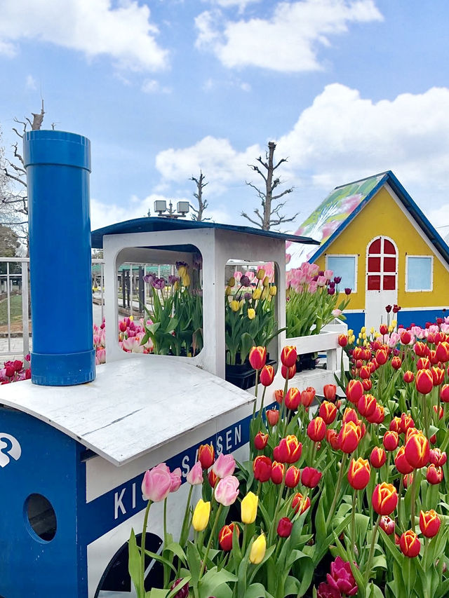 Spring at Kiso Sansen Park🌷