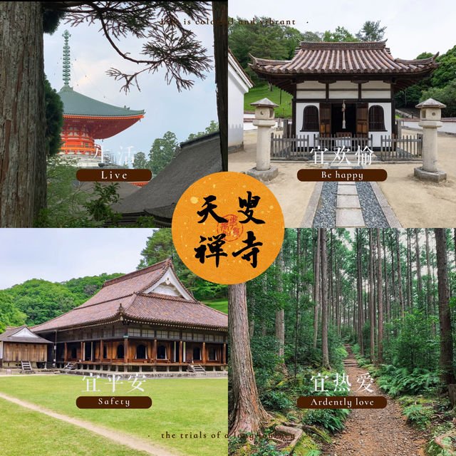 天叟禪寺～心之靜謐