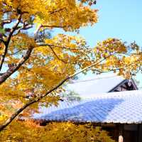 Kyoto không đông đúc - Enkouji Temple