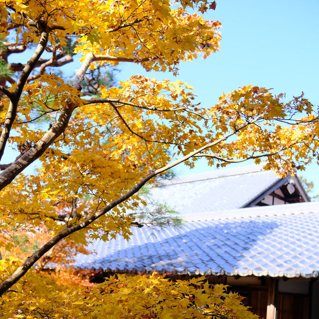 Kyoto không đông đúc - Enkouji Temple