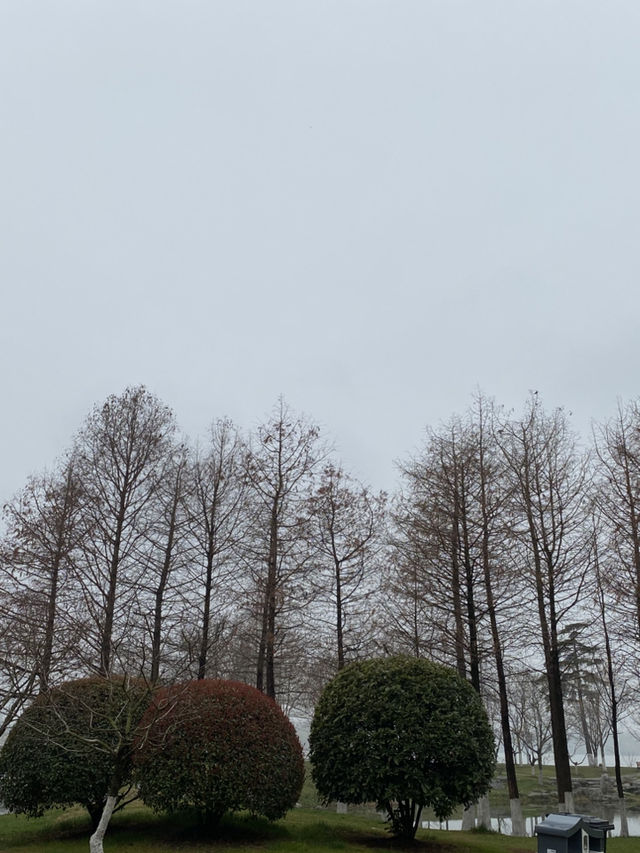 南京 玄武湖景區 情侶園 🌱 🪻
