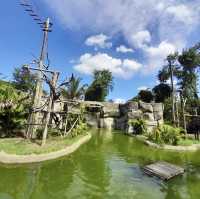 ボア・ジ・フリオ公園（ブラジル・リオデジャネイロ） – 静寂の中に広がる熱帯植物の楽園 