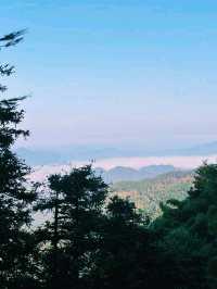 中國安徽省著名景點九華山旅行攻略，適合打卡拍照📸