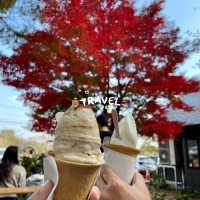 好吃冰淇淋在這/雫石/松ぼっくり