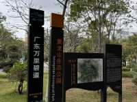 坪山區賞櫻2天1夜小旅行