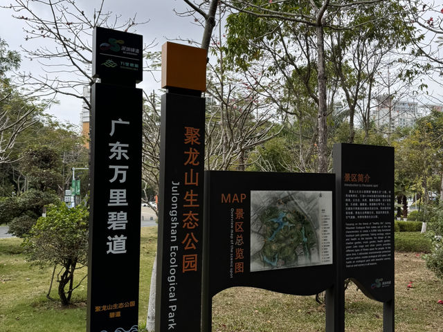 坪山區賞櫻2天1夜小旅行