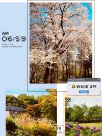 Finding Spring's Quiet Corners: Relaxation in Maeheon's Natural Haven 