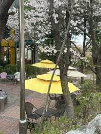 수암골 감성 한가득, 청주 카페 풀문에서 여유 한잔🤍🌸