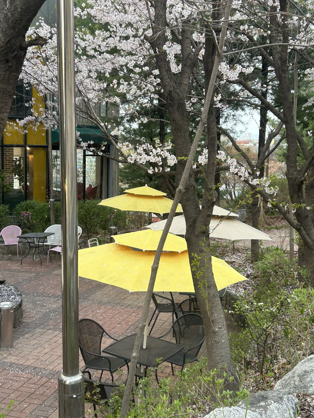 수암골 감성 한가득, 청주 카페 풀문에서 여유 한잔🤍🌸