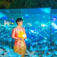 เที่ยวงานไฟสุดยิ่งใหญ่ ไม่คิดว่าจะสวยขนาดนี้ 🤍🌷✨