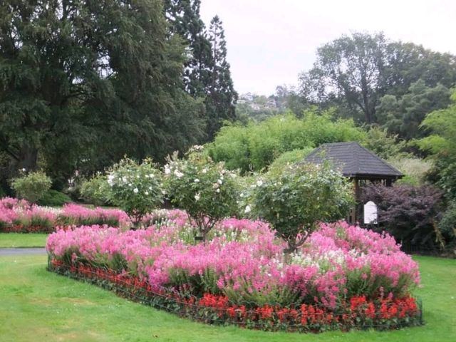 紐西蘭最古老的植物園#但尼丁植物園（Dunedin Botanic Garden）- 紐西蘭但尼丁市