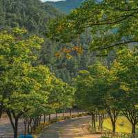 富陽自然生態公園·綠意世外桃源