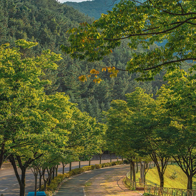 富陽自然生態公園·綠意世外桃源