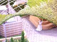 เที่ยวงานดอกไม้ Wondrous Bloom 