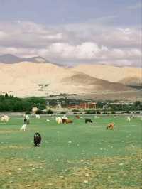 Exploring the Heart of Southern Xinjiang: A Journey Through Culture and Nature
