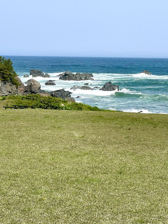 【青森×種差海岸】芝生が美しい海岸